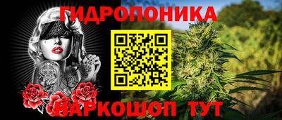 индика Бузулук