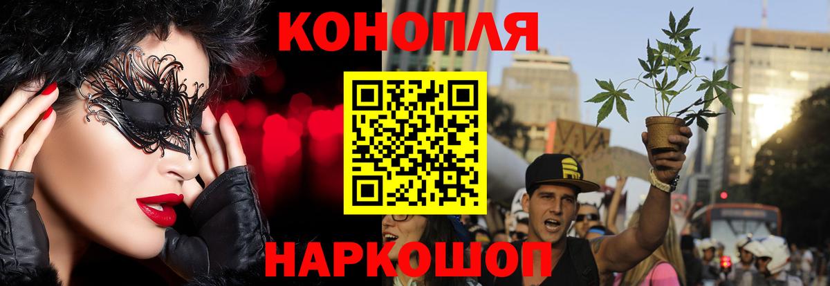 Бошки марихуана индика Маркс